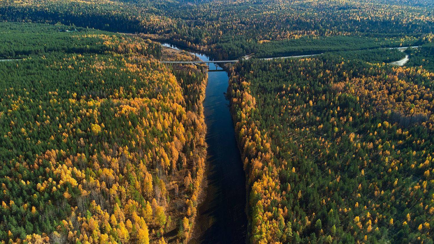 , Лисаускас Илья