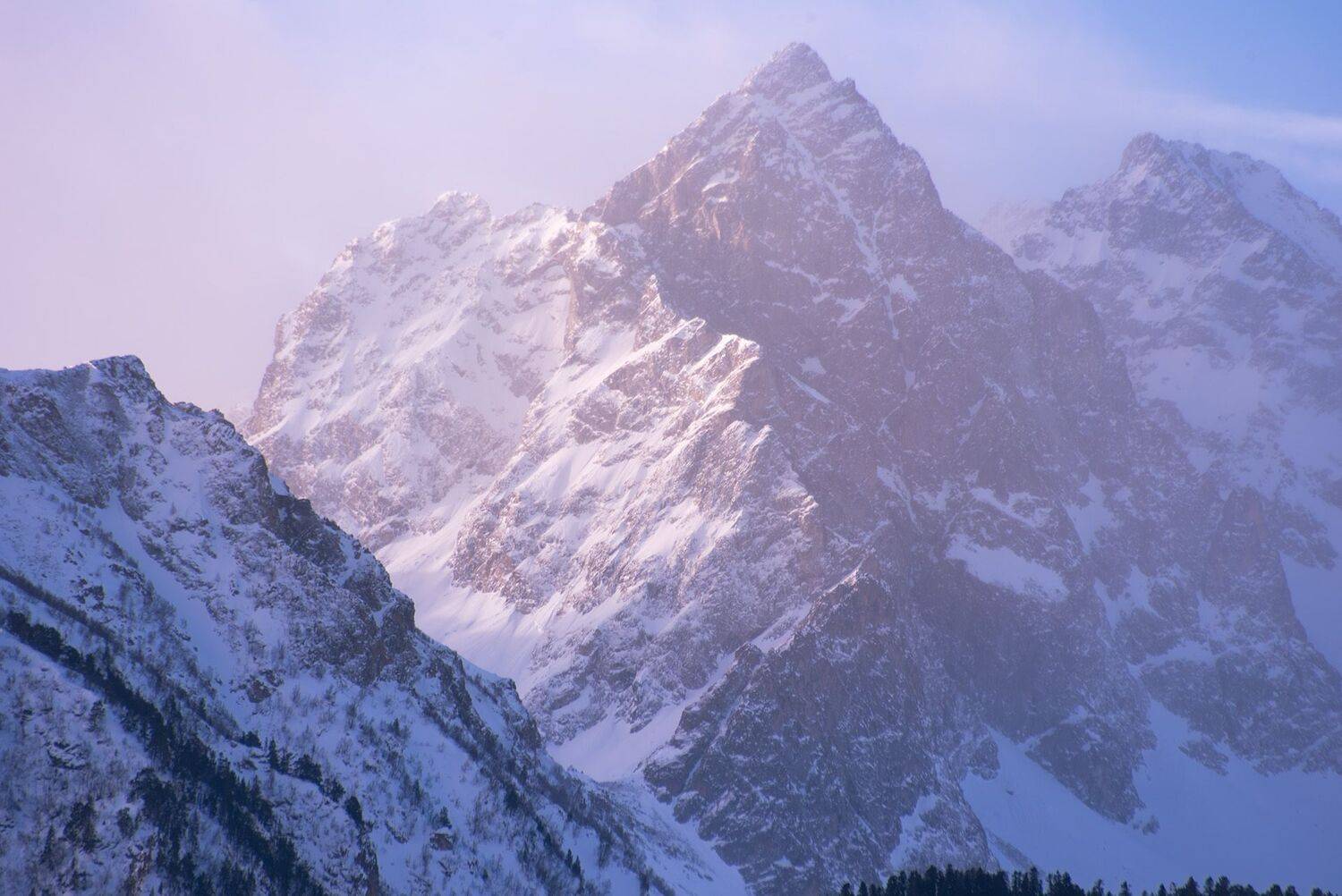 , Чавыкина Анастасия