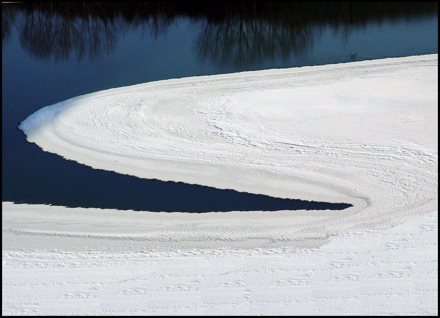 , Меднов Влад