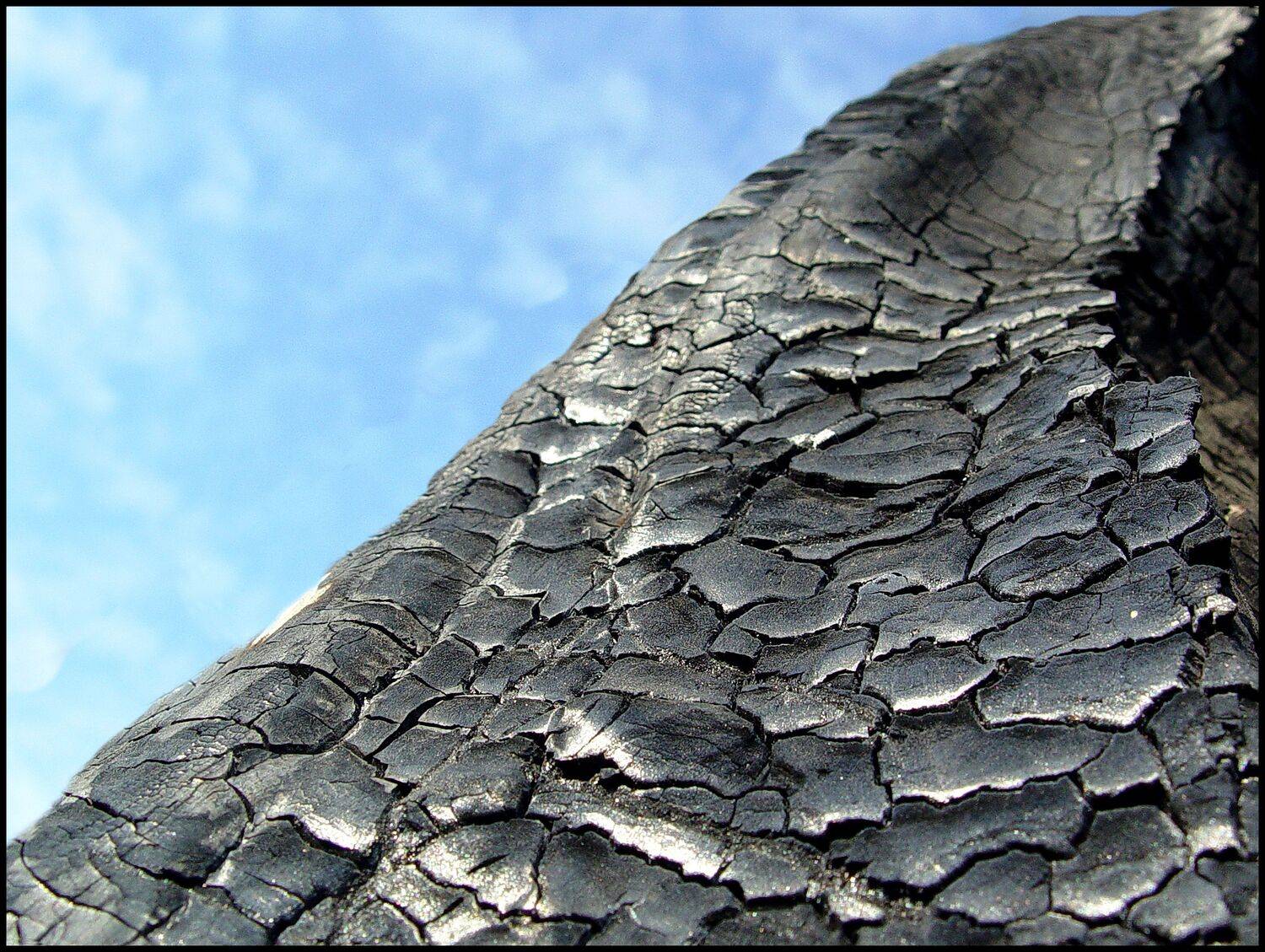 , Меднов Влад