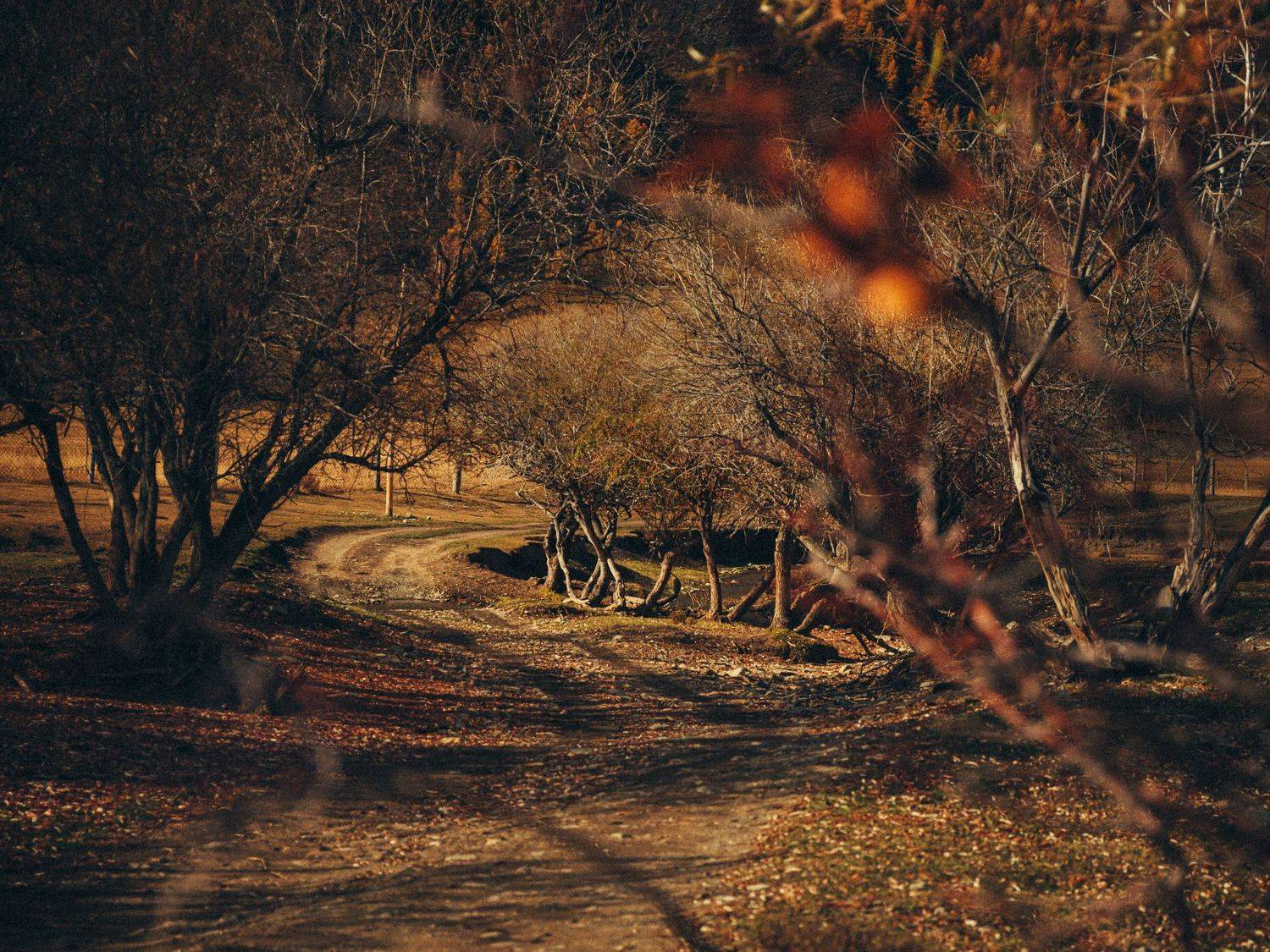 , Виктор Гагарин