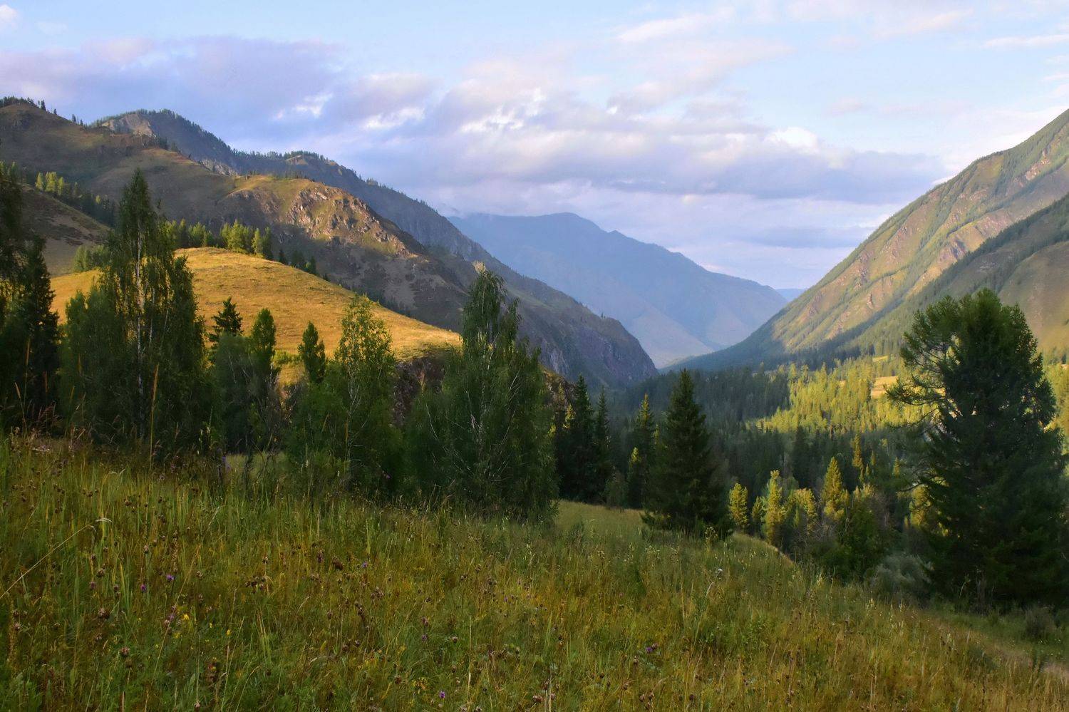 пейзаж, природа, путешествие, горы, панорама, алтай, Наталия Щербина