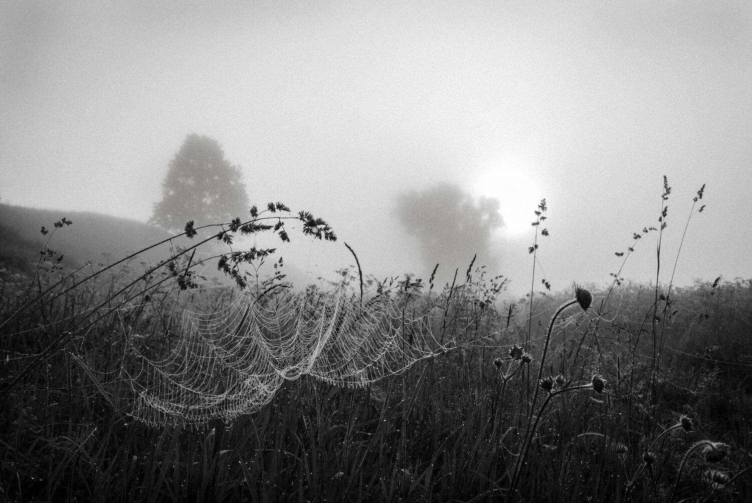 , Виктор Черкасов