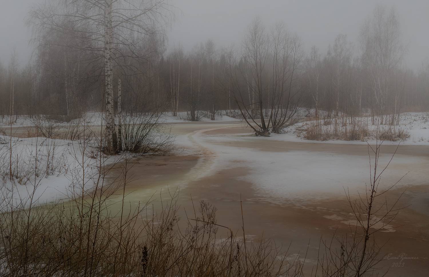 , Елена Рубинская