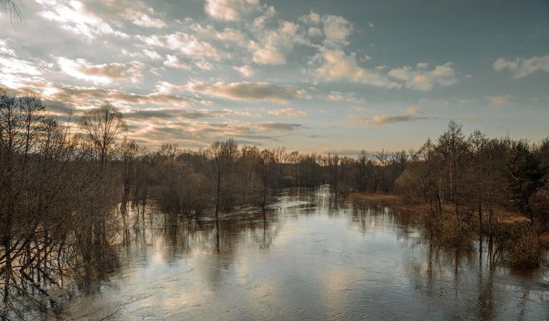 Весенний разлив на р.Тёша фото превью