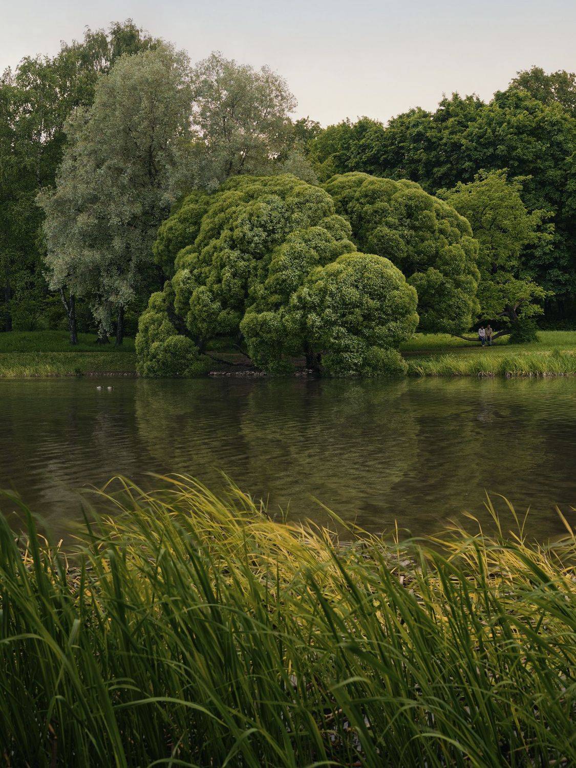 москва, пруд, останкино, вднх,  Алексей