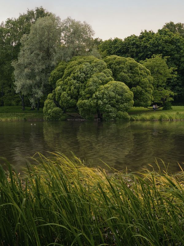 москва, пруд, останкино, вднх Первый Каменский пруд фото превью