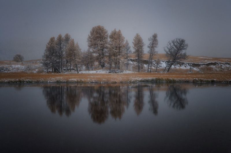 altay, autumn, october, cold, trees, mirror, landscape *** фото превью