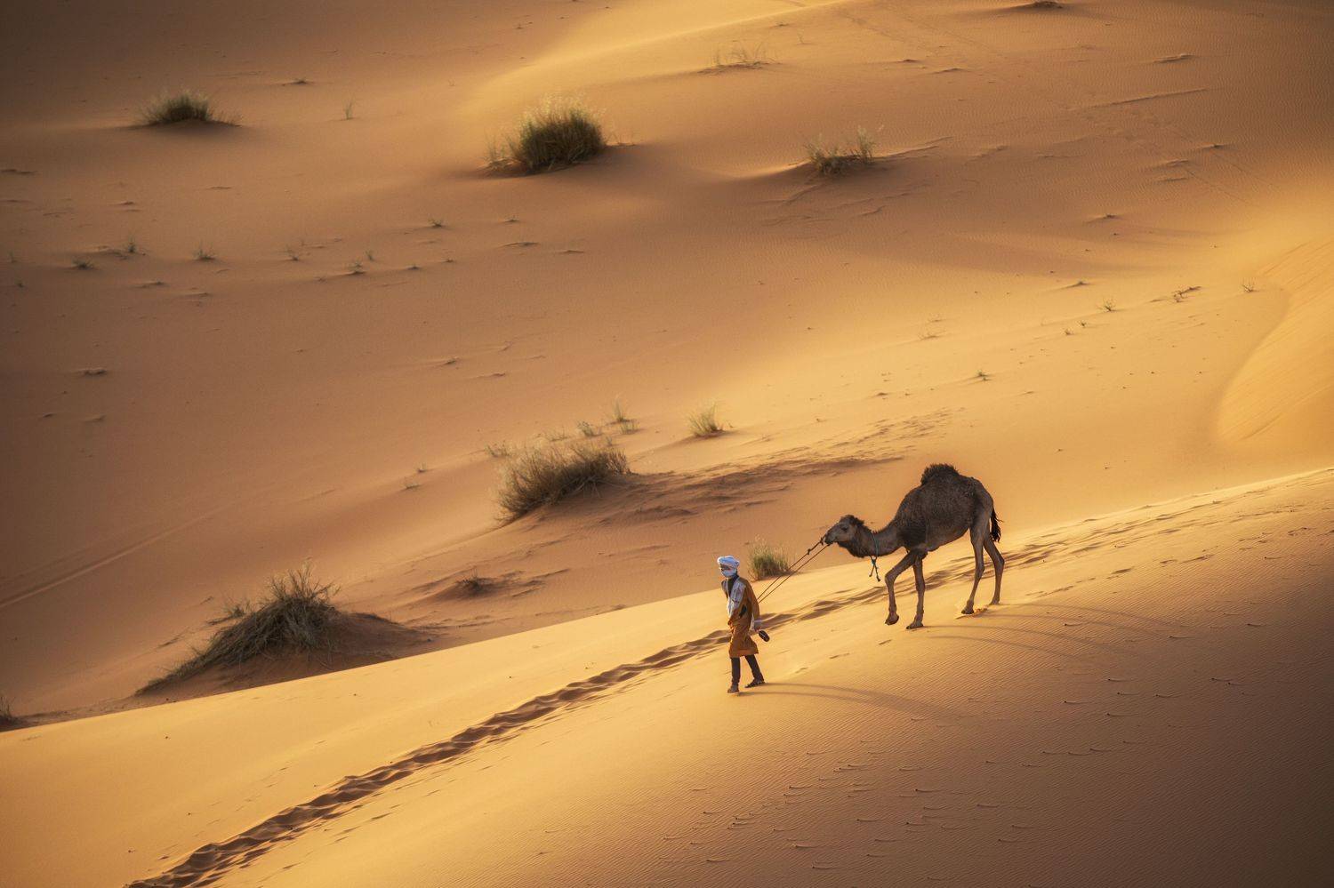 , Костадин Маджаров