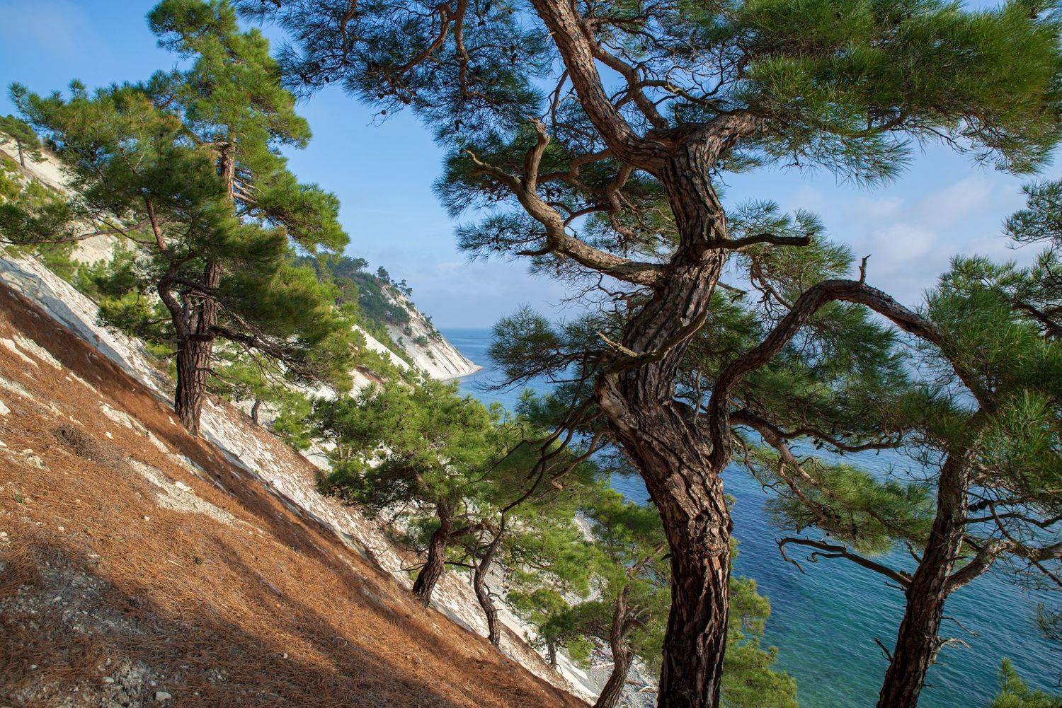 , Сергей Тихомиров