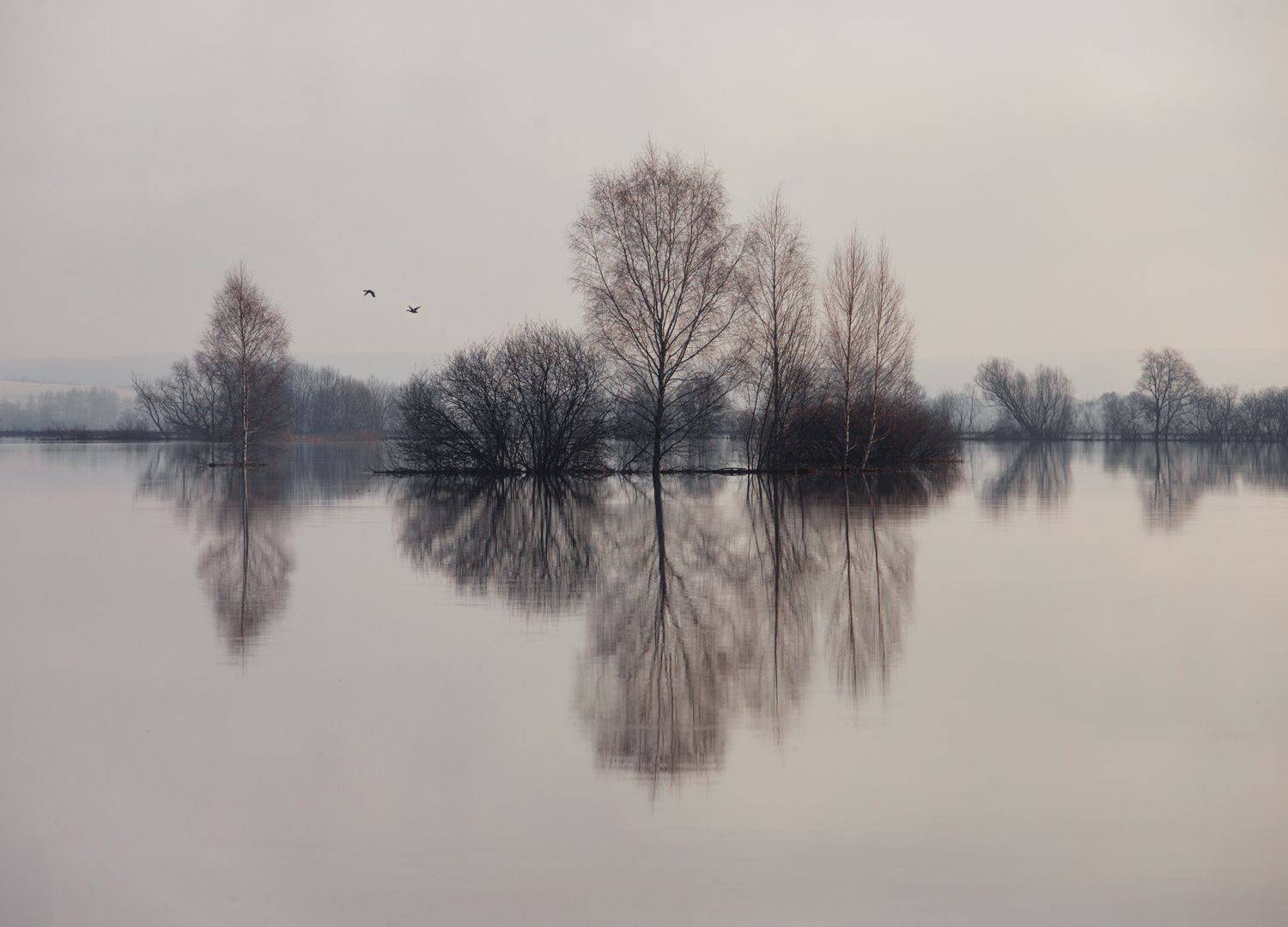 апрель, свет, утро, природа, разлив, Баранов Олег