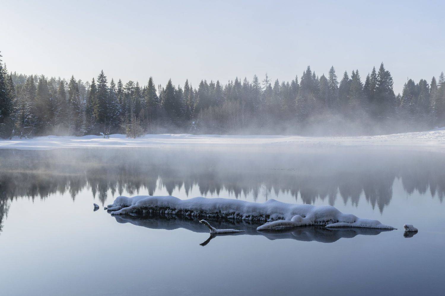, Галина Луценко