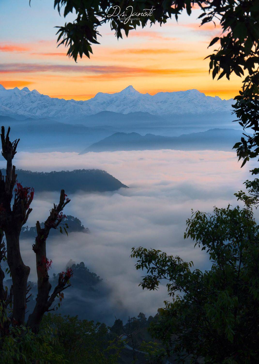 #morning #himalaya #nature #landscape #beauty #beautiful #india #sunrise #uttarakhand #travel, Digvijay singh Janoti
