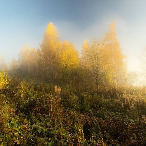 Осеннее утро