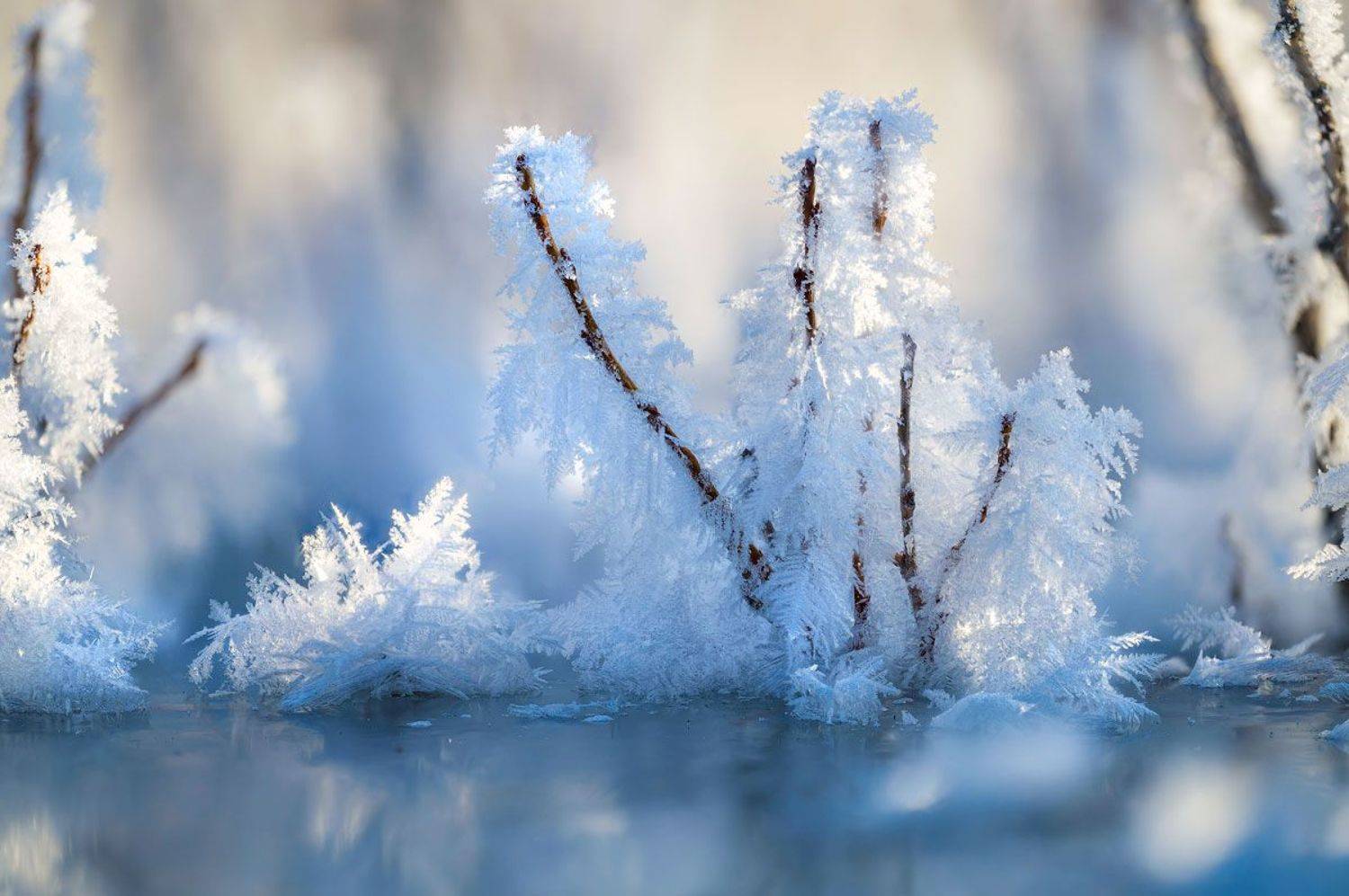 , Сергей Брагин