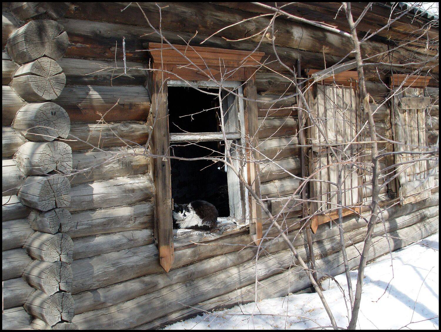 , Меднов Влад