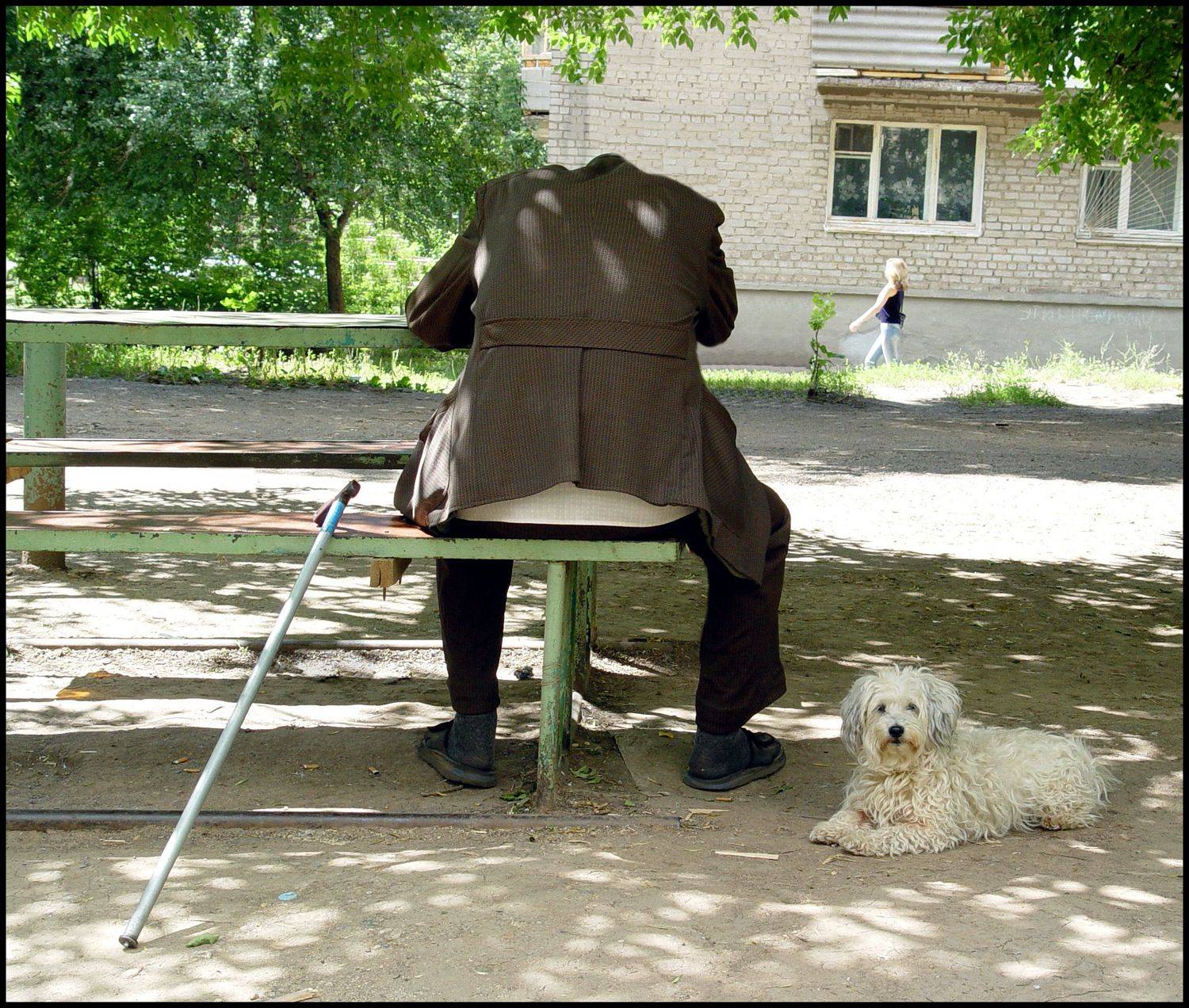 , Меднов Влад