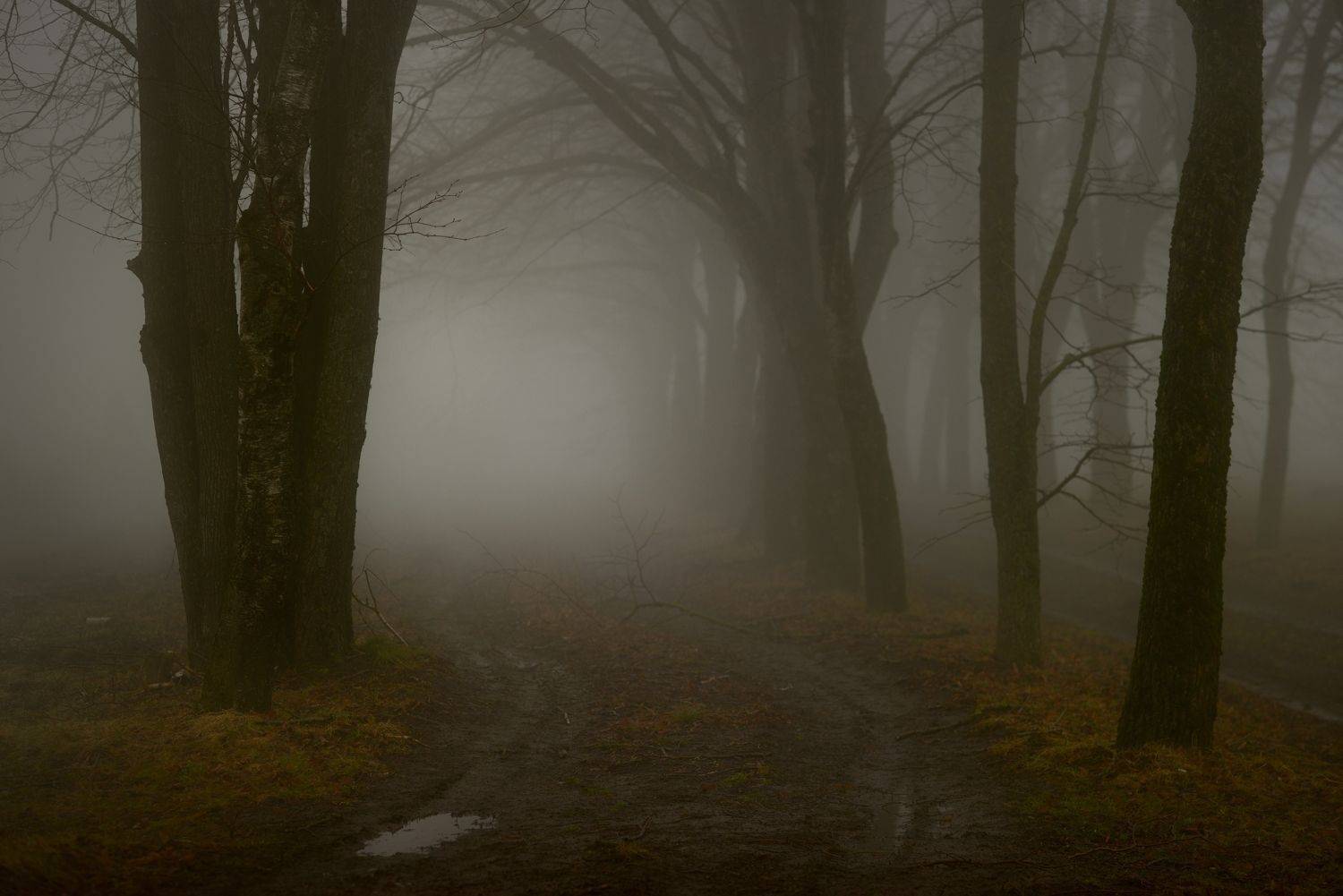 осенний путь, Александр Жарников