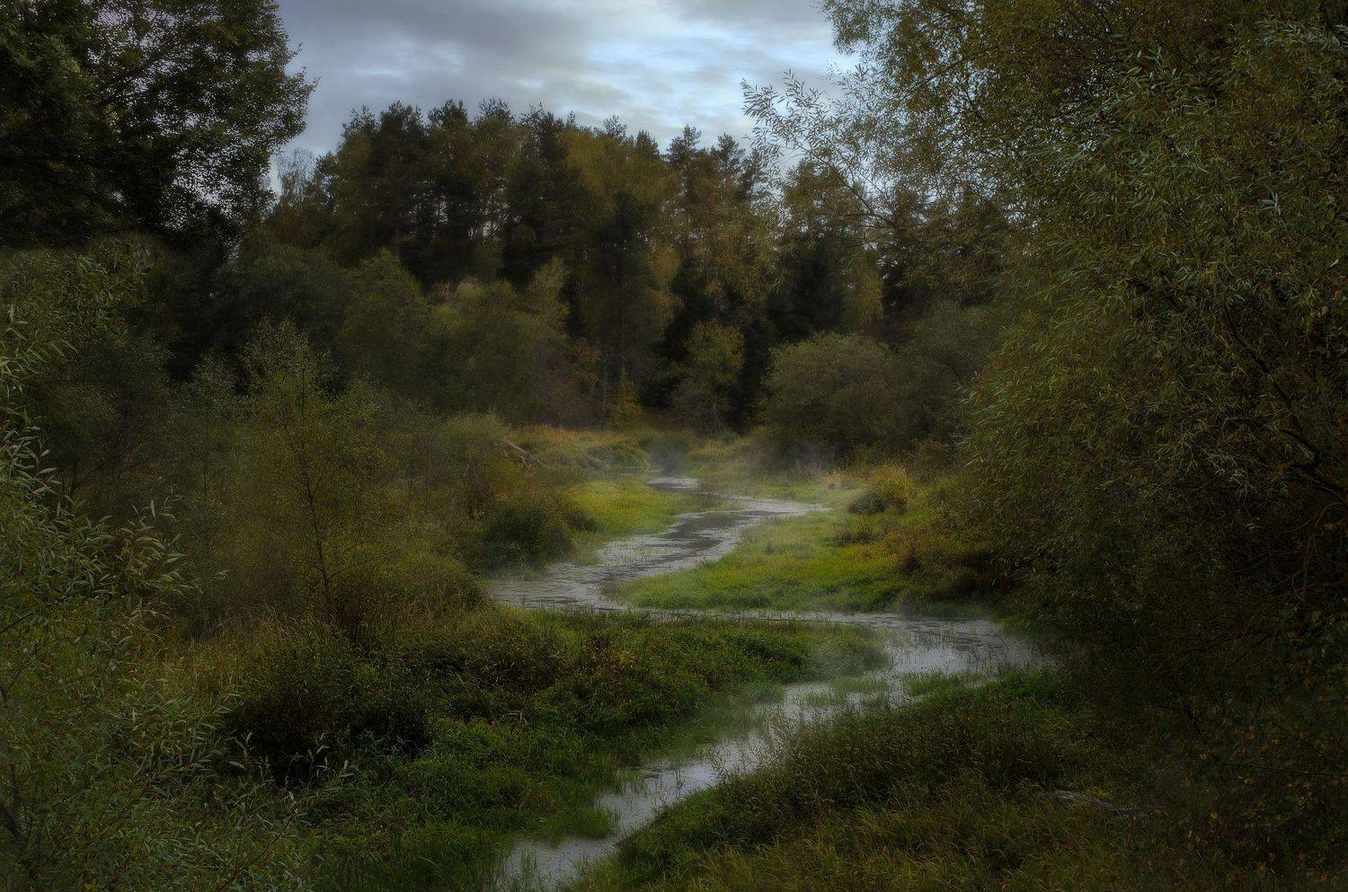 , Кунин Илья