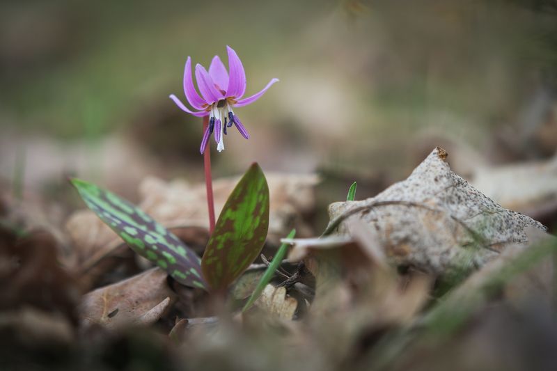 2022 фото превью