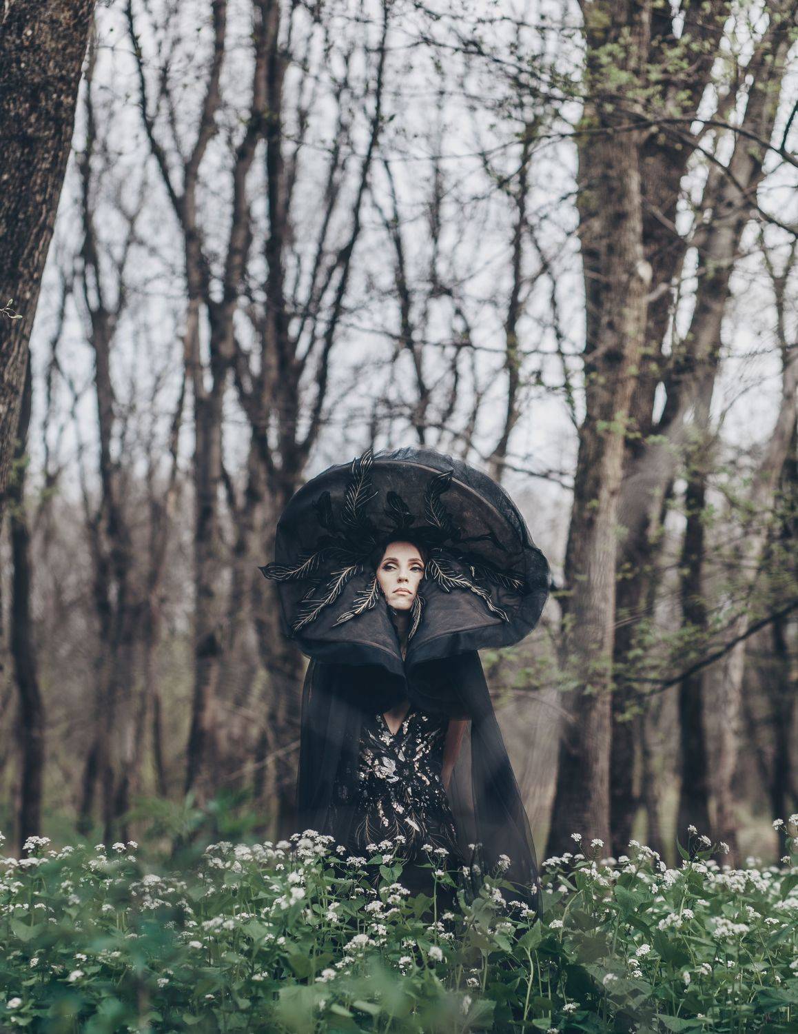 35mm, 4x5, 6x6, 6х6, 85mm, Art, Artnude, Ballerina, Ballet, Battur, Beautiful, Beauty, Canon, Canon 5D Mark III, Car, Color, Dance, Dress, Emotion, Eyes, Face, Flowers, Ganzo, Genre, GirlHair, Hero,LightLilac, Model, Mongol, Mongolia, Вероника Гергерт