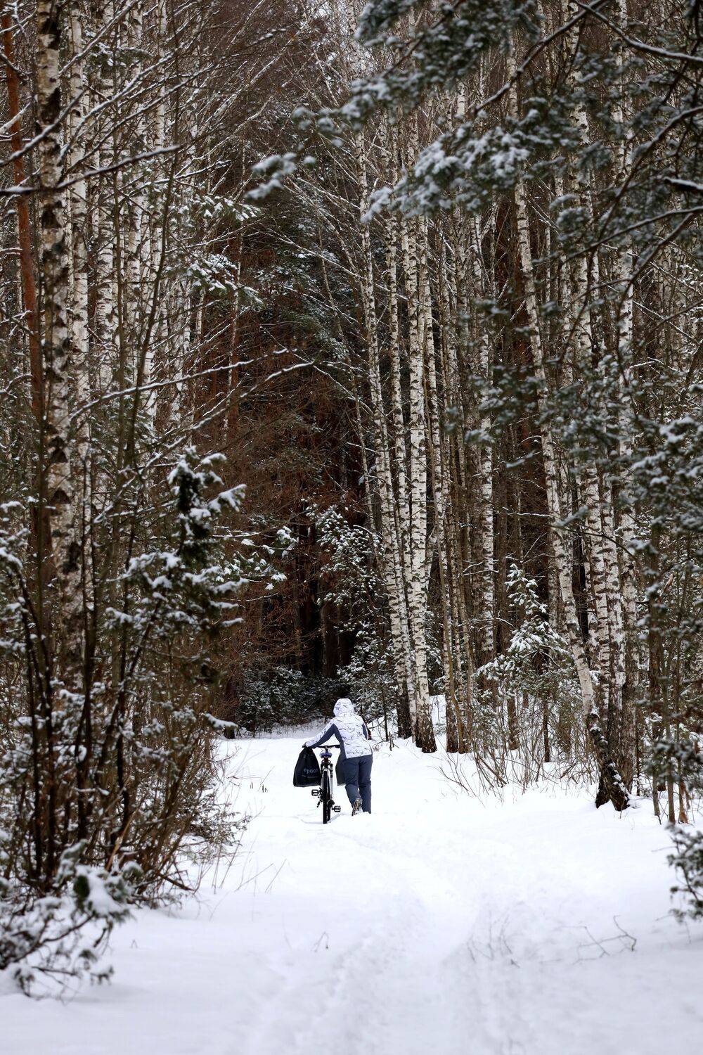 , Колосова Елена