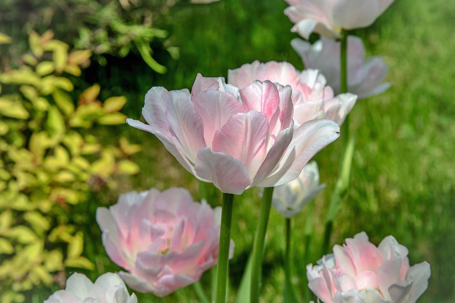 ...весна... кострома, Бирюков Вячеслав