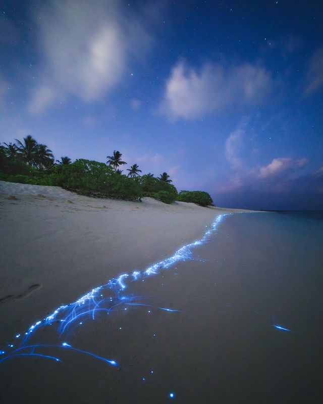 мальдивы, атолл, планктон, plankton,тропики, пейзаж, природа, maldives, atoll, tropics, landscape, nature, nightscape, starrynight, ночь, звёзды Звёзды на небе и в океане фото превью