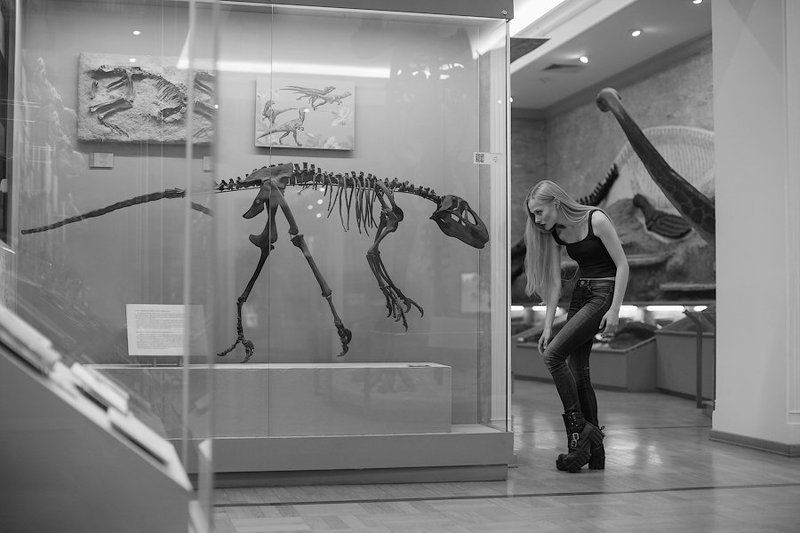 Diana фото превью