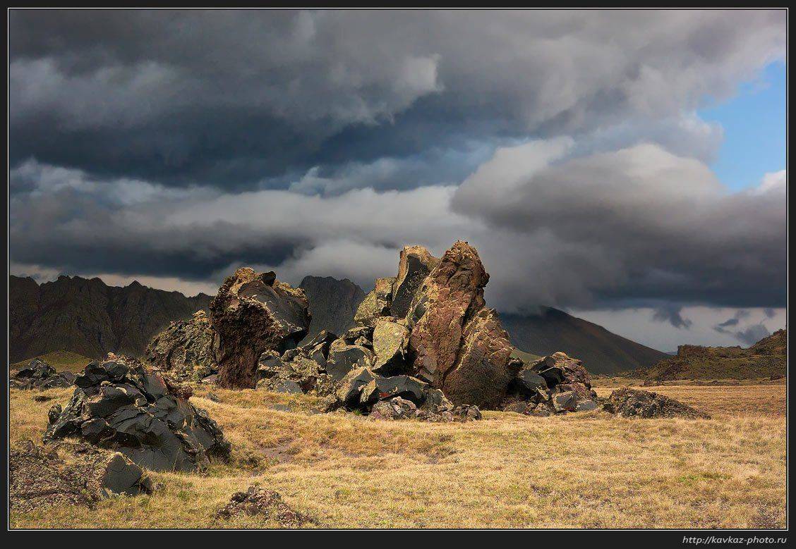 , Николай Стюбко