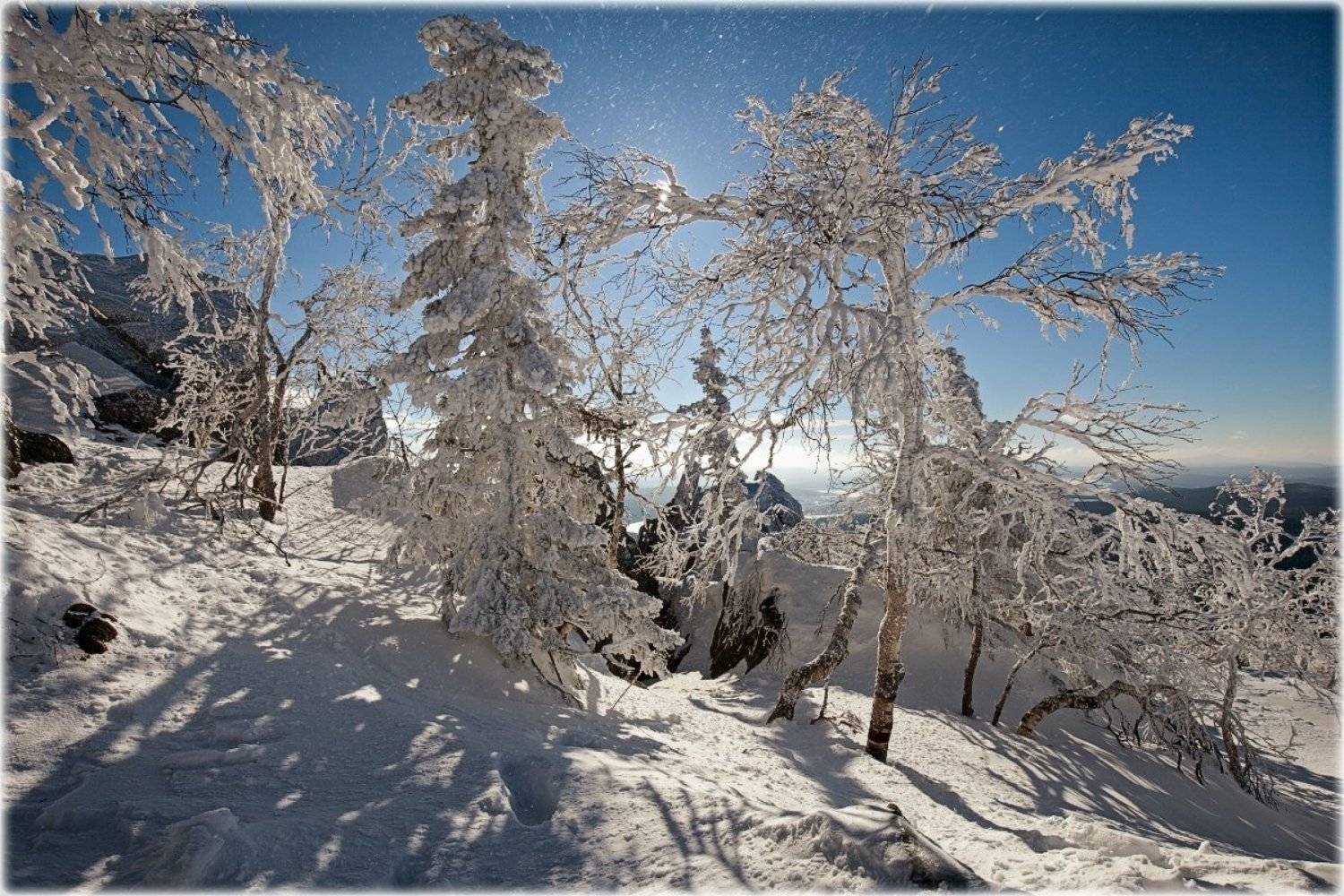 , Сергей Евдокимов