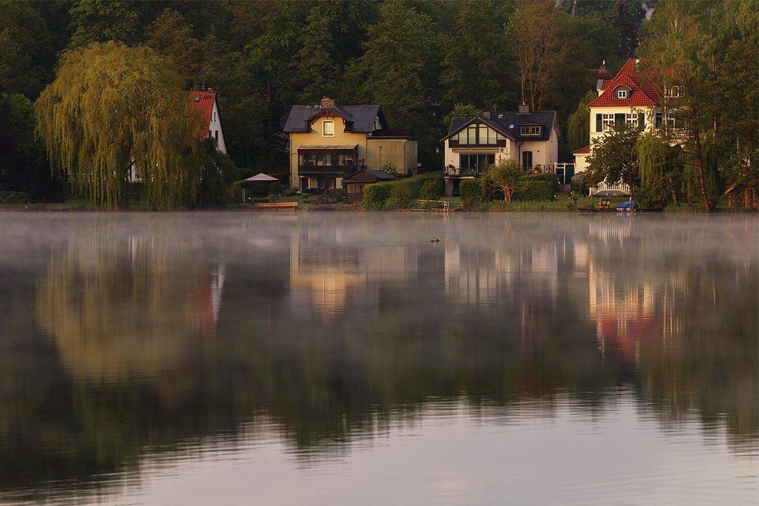 , Игорь Дубровский