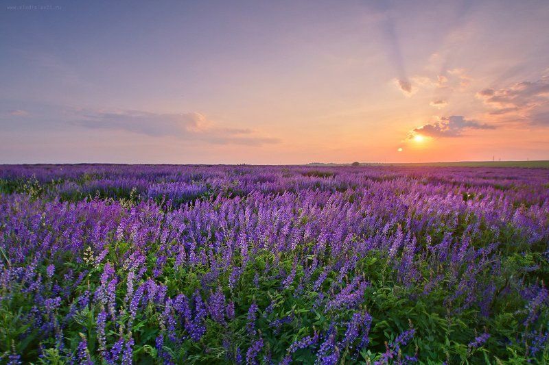 Фиолетовый закат фото превью