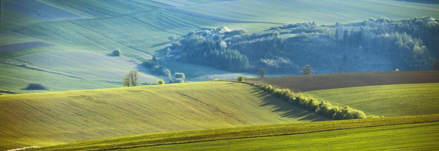 Апрель, Весна, Европа, Словакия, Вейзе Максим