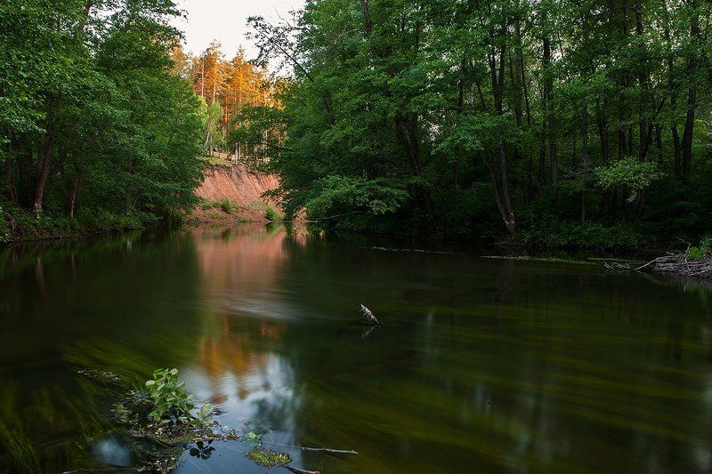 Закат над рекой Боровкой, Бузулукский бор фото превью