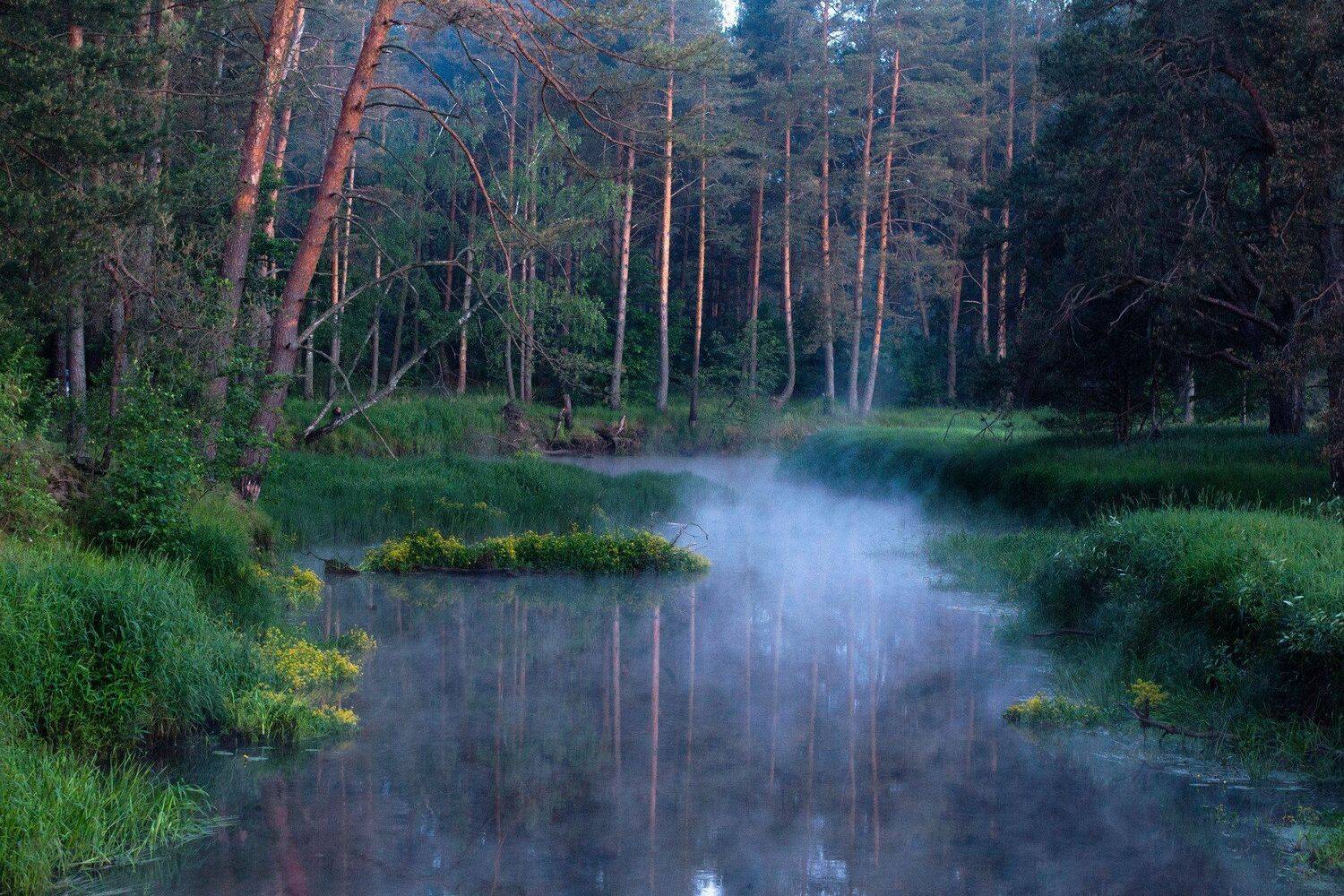 , Андрей Ершов