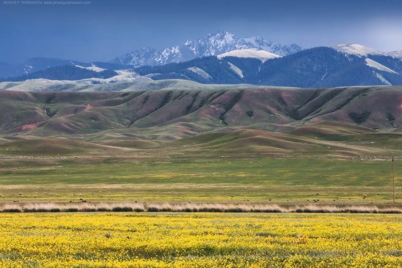 Казахстан, Река Текес, Терскей Алатау, Тянь-шань Урочище Атжал фото превью