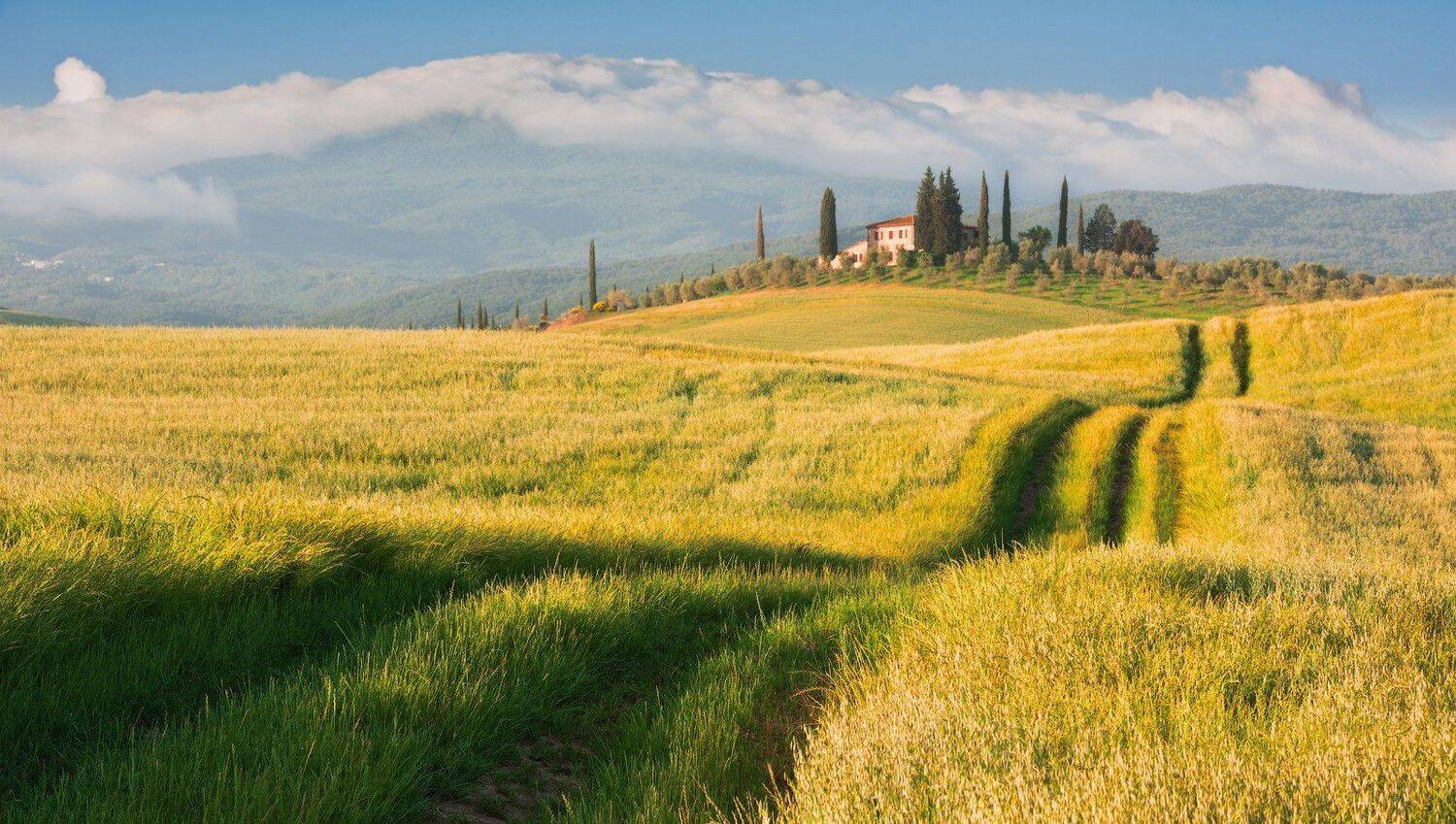 , Андрей Ведерников