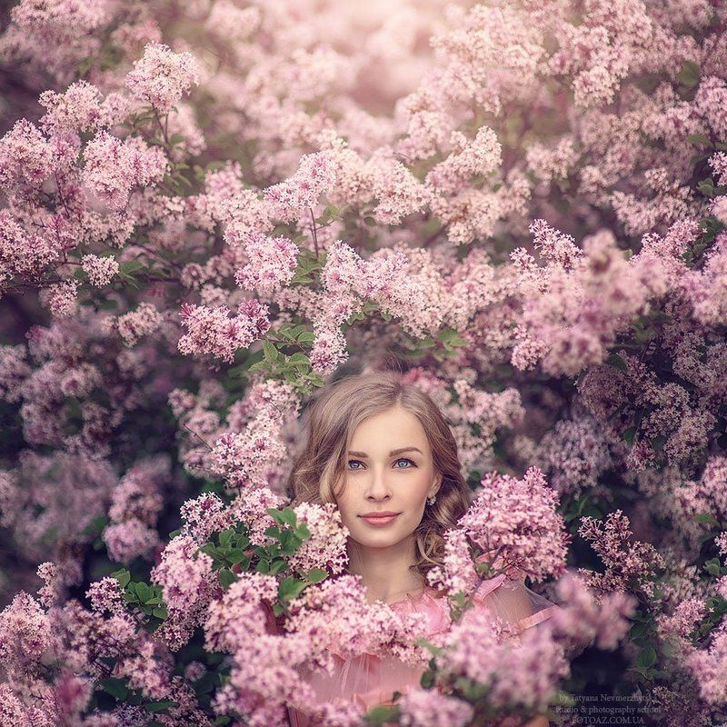Портрет, Сирень Сирень фото превью