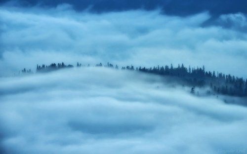 Голубое одеяло вечера...