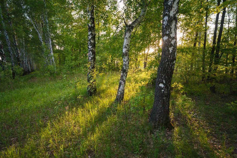 Пощупово фото превью