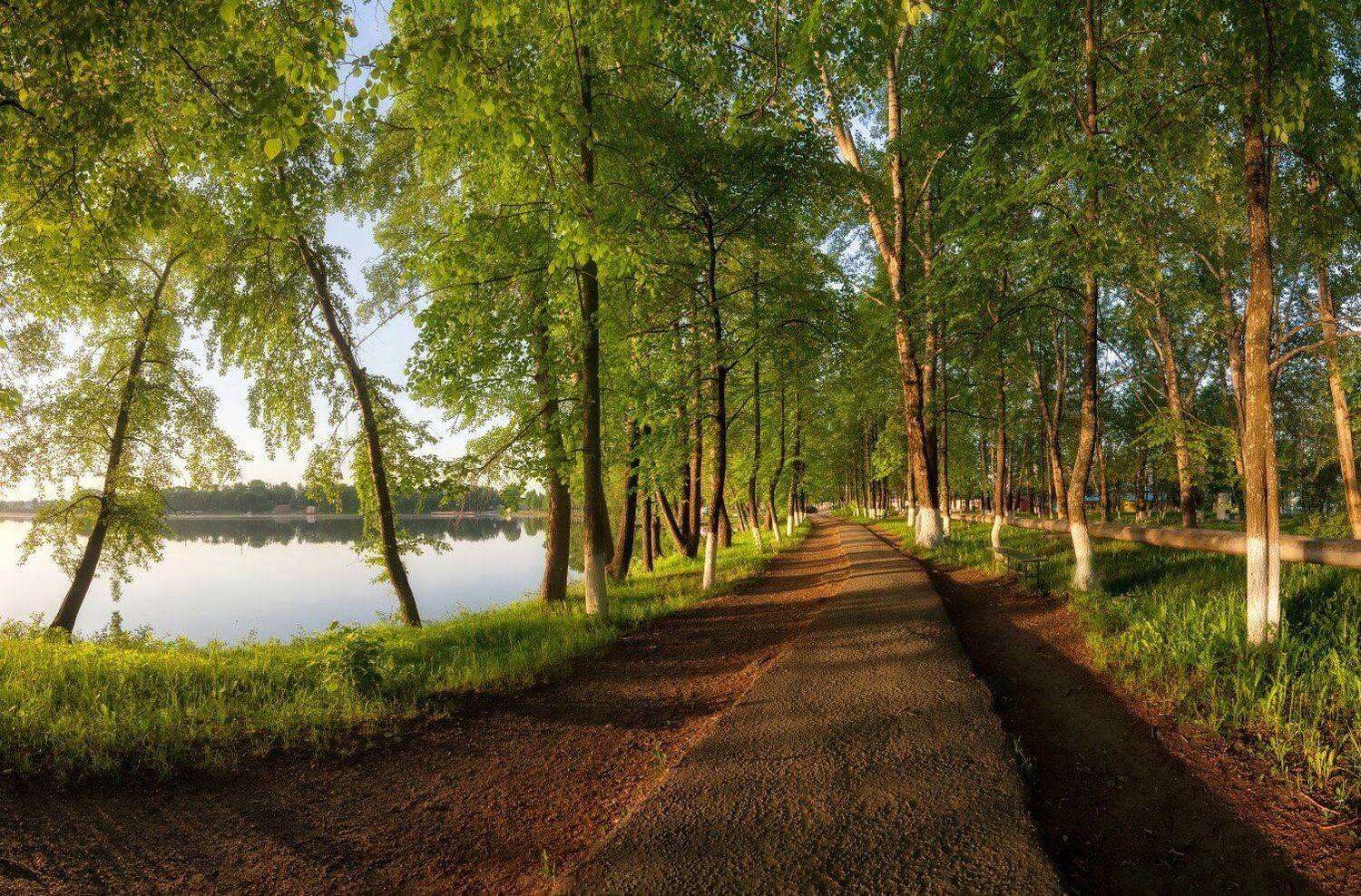 аллея, утро, пруд, лето, небо, солнце, свет, Устюжанин Михаил