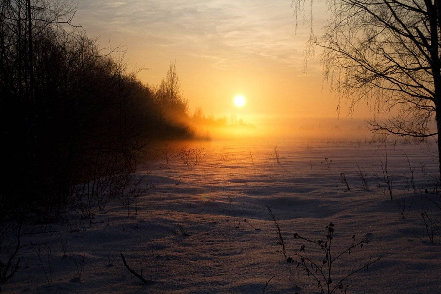 , Александр Калинин