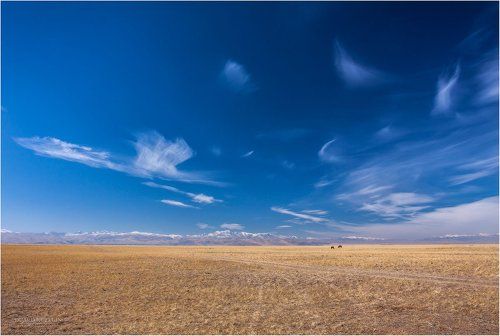 Полёты наяву