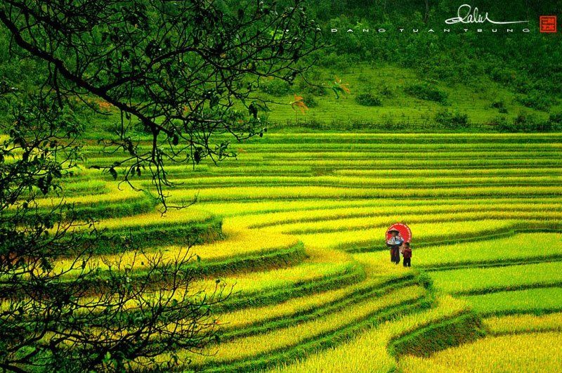 Dang Tuan Trung, Frank Dang October фото превью