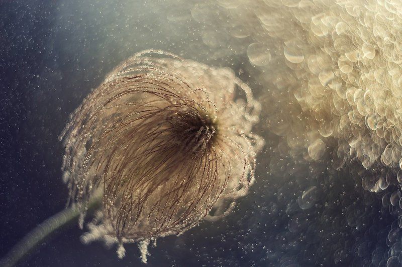 В невесомости... фото превью