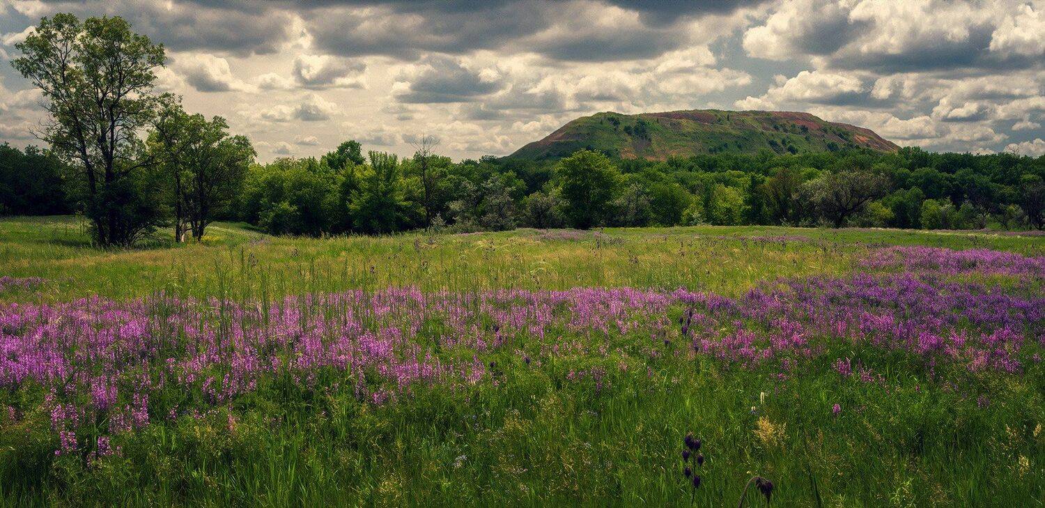 , Игорь Мелекесцев