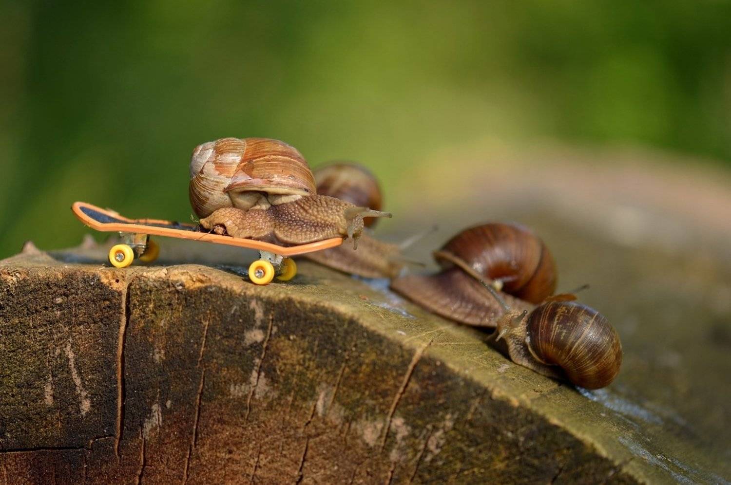 , Александр Юкарев