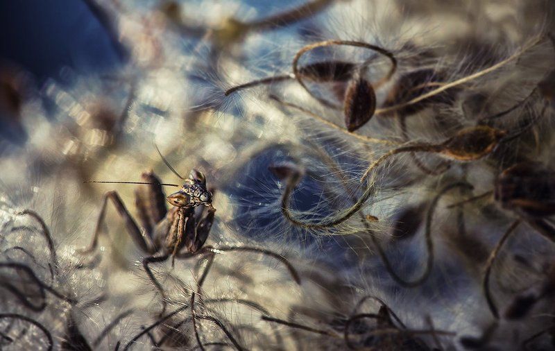 Время спать. фото превью