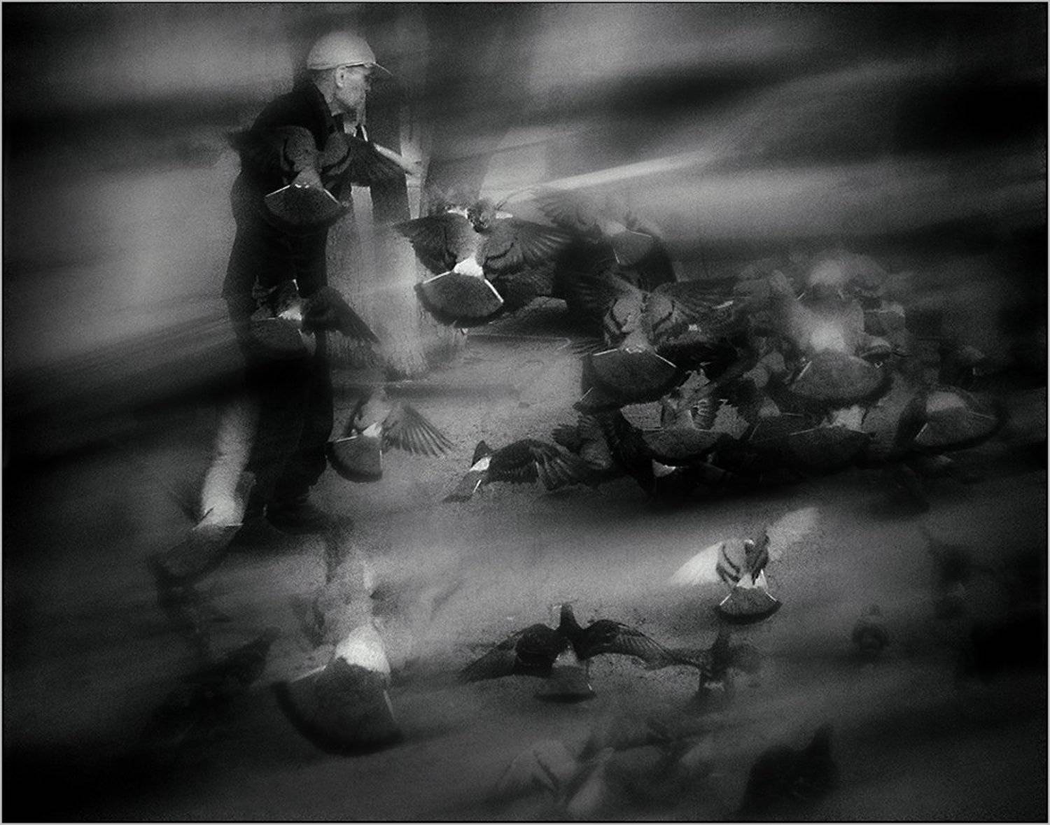 , Анна Кудрявцева